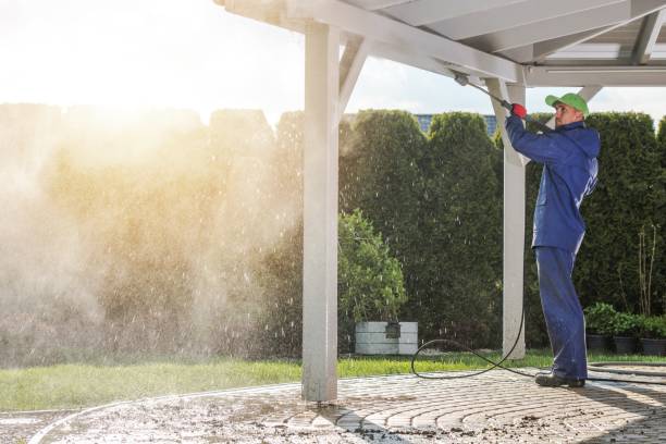 Best Driveway Pressure Washing  in Lewisville, TX