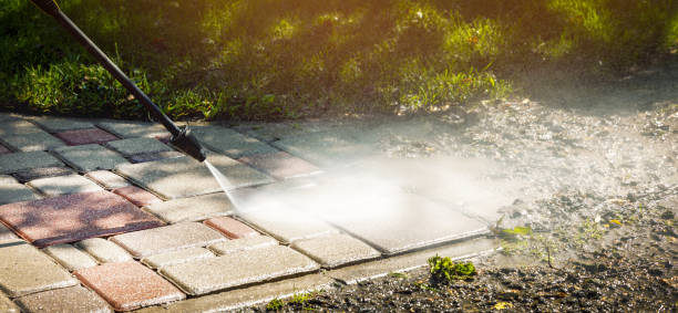 Best Animal Enclosure Cleaning  in Lewisville, TX